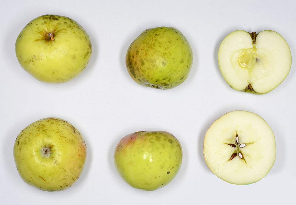 Mauthausener Limoniapfel