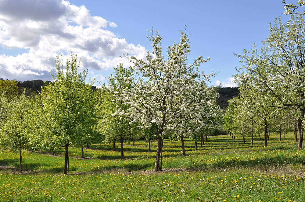 VasoldsbergWagersbach